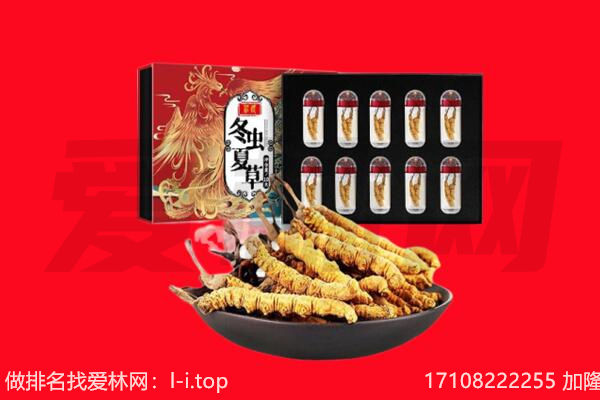 渭南澄城县回收虫草.jpg